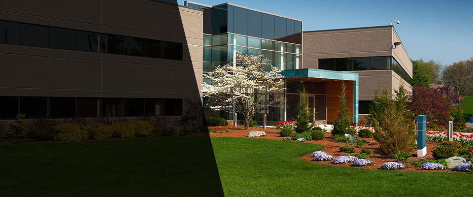 Bladensburg Landscapers