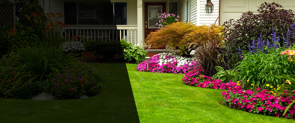 Bladensburg Landscapers