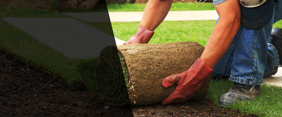 Bladensburg Landscapers